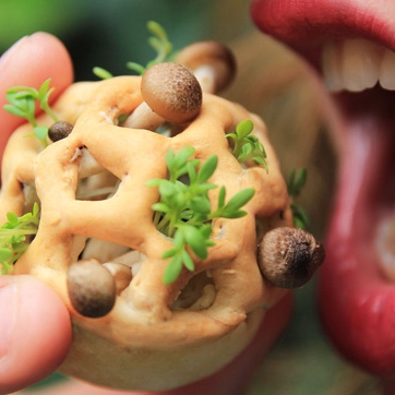 Edible-Growth-by-Chloe-Rutzerveld_dezeen_02_644