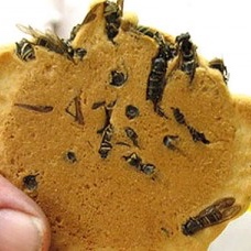 tumblr_m9bqtwMtOB1rqwn4l