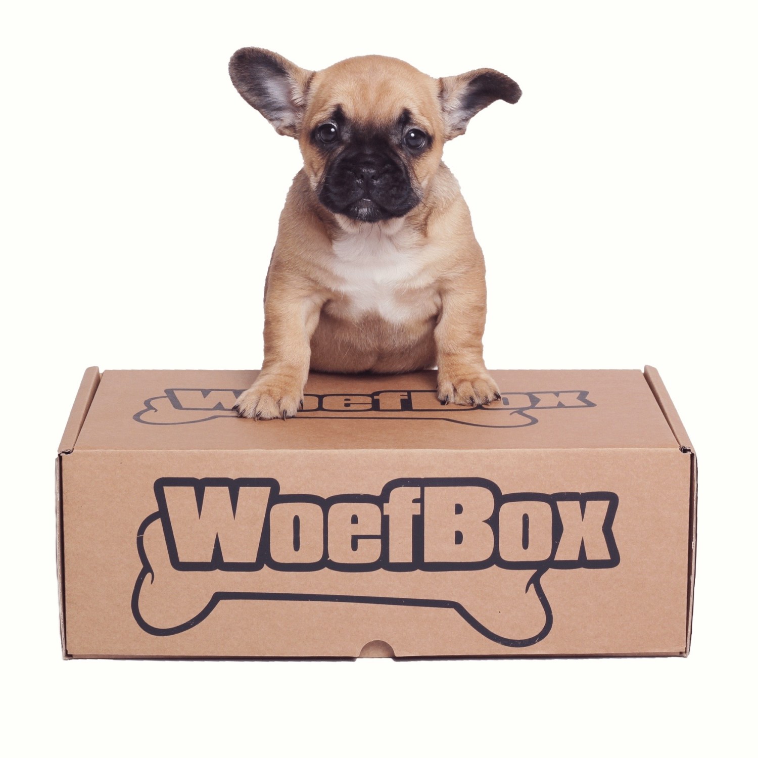 Puppy-WoefBox