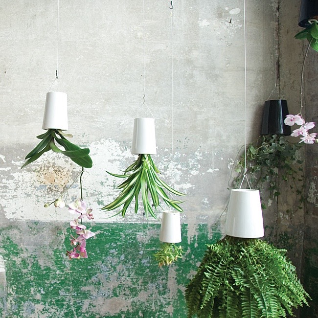 phpThumb_generated_thumbnailjpg