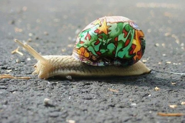 2014_10_blog_pomalovani-sneci-1280x852