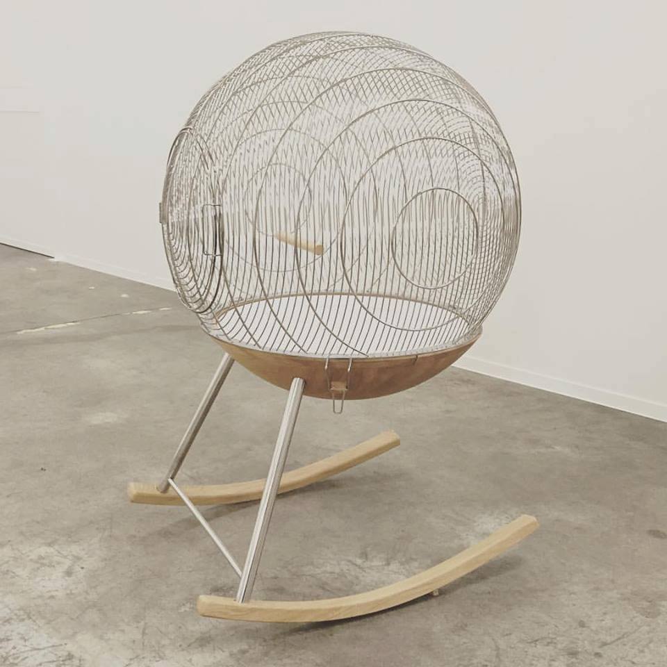 14064066_893853827411474_4832904951758163348_n