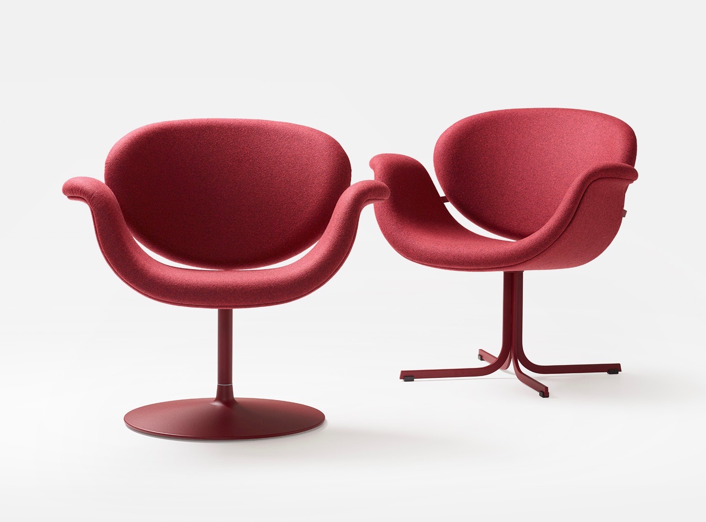 header_tulip_midi_v1