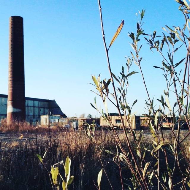 15251626_669294173238905_4689319339008983040_n