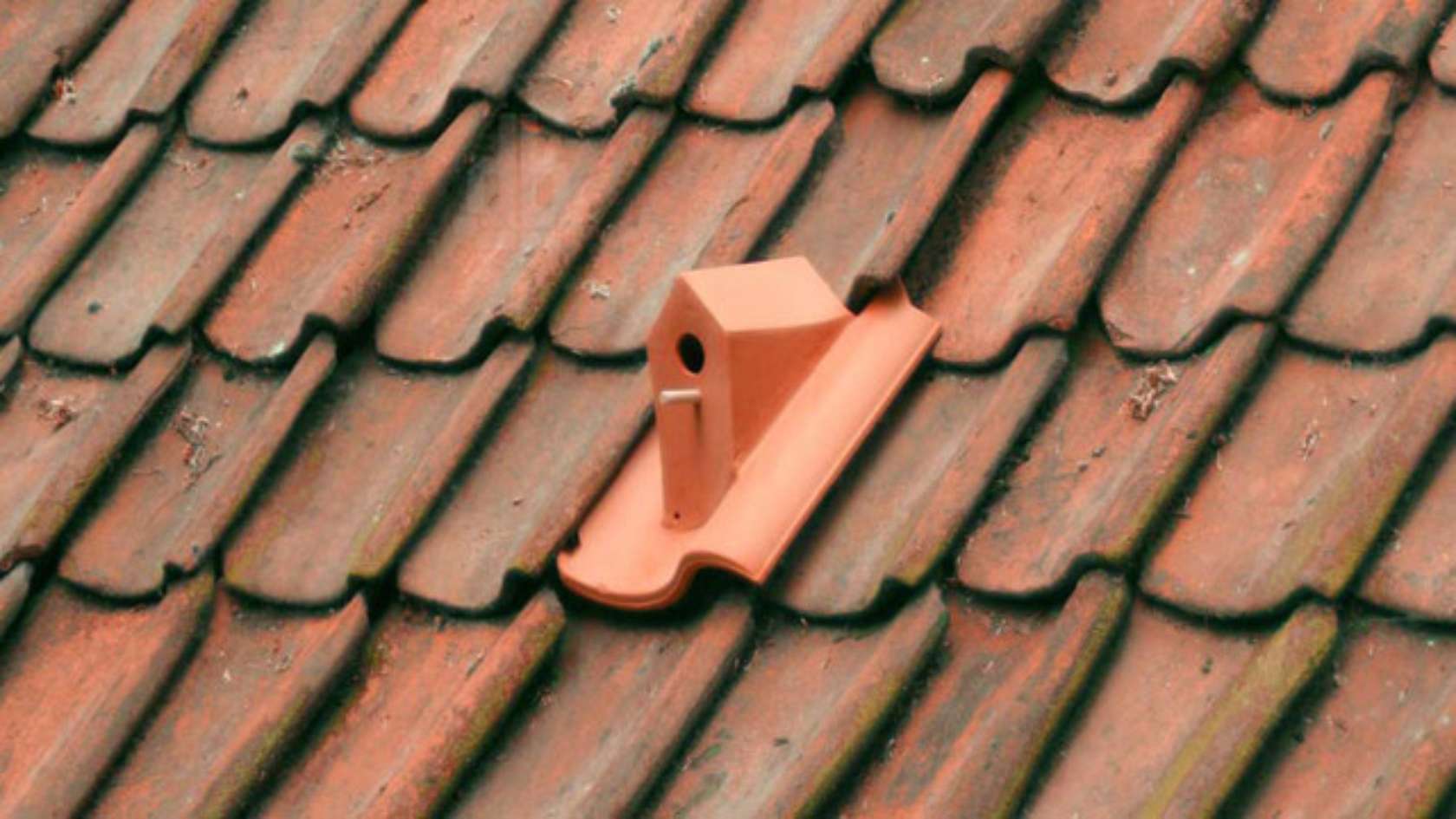 5c011117fe5ca656d3562e1abf71160e