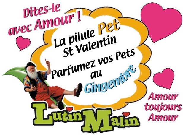 st-valentine-s-ginger-fart-pill 2