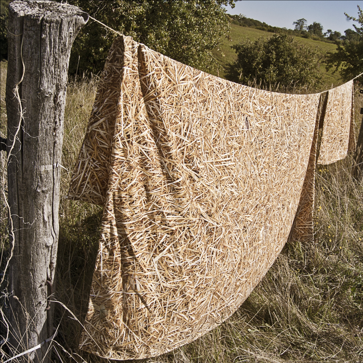 Schermafbeelding 2017-06-28 om 09.04.47.png