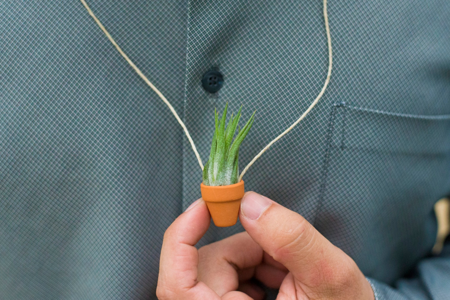 il_fullxfull.798897401_tt01