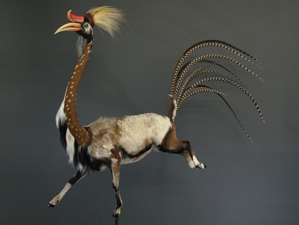 taxidermie-kunst-dieren-4.jpg