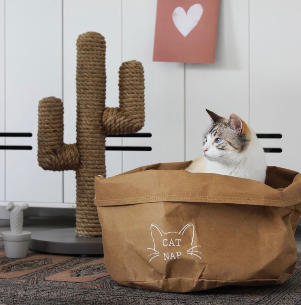 Binnenkijker DBL 8b 2.jpg