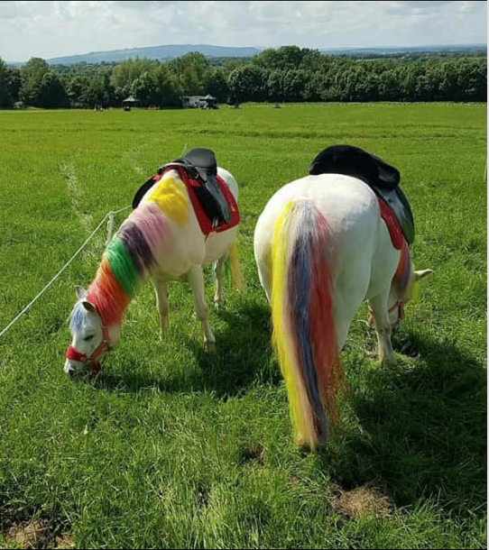 Schermafbeelding 2018-10-24 om 14.18.21.png