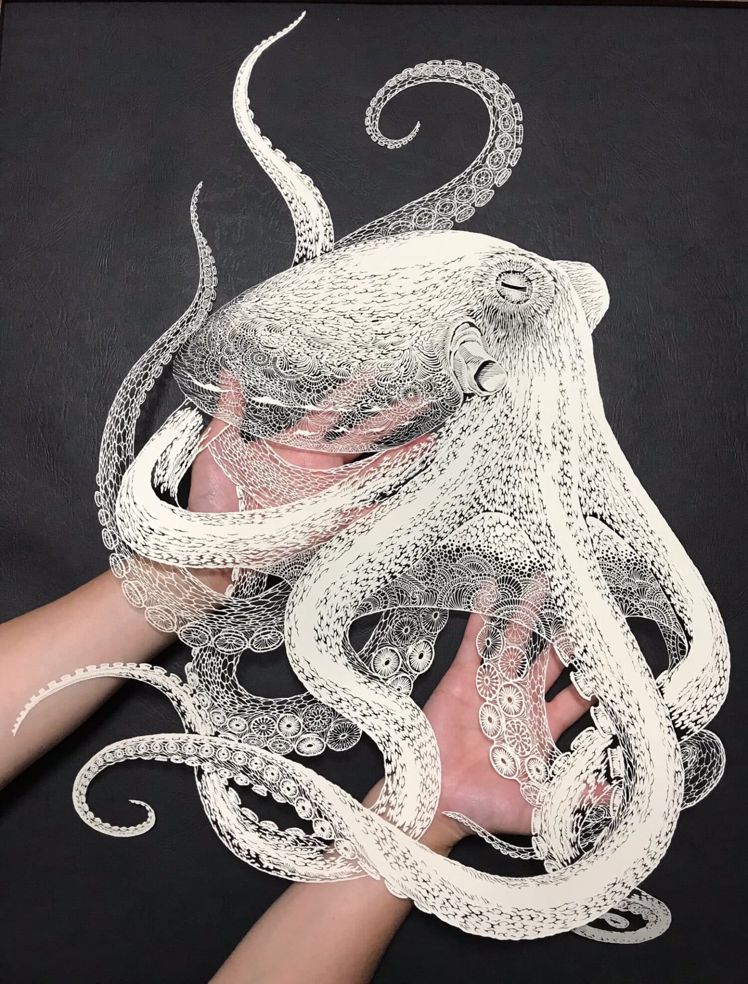 octopus-papier-4.jpg