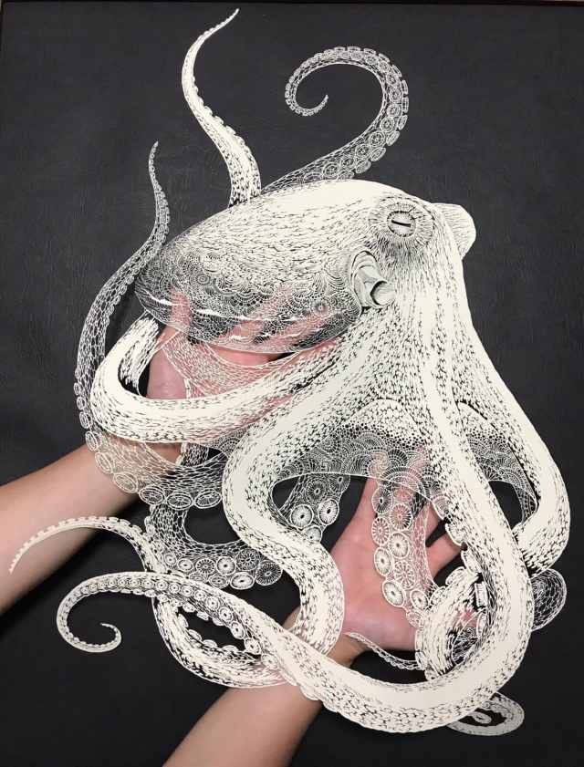 octopus-papier-4.jpg