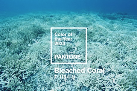 Schermafbeelding 2019-02-08 om 16.42.28.png