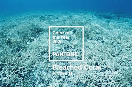 Schermafbeelding 2019-02-08 om 16.42.28.png