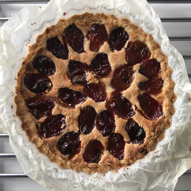 06F53CE9-5EDA-4B05-8E83-5E510073D494