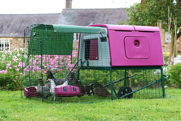 An-Eglu-Cube-chicken-coop-and-chickens-brightens-any-garden