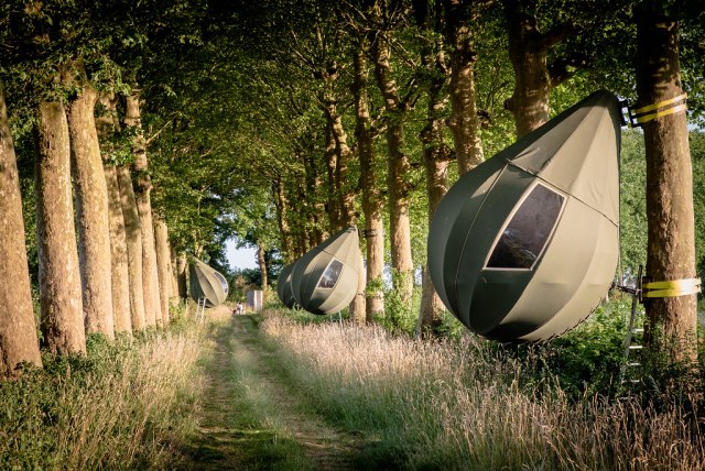 35673180804_a8f21d6907_b